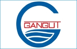 Гангут